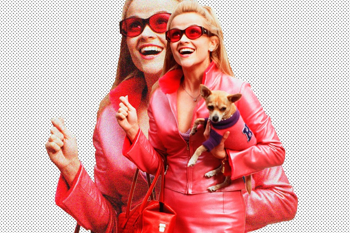 Is Legally Blonde Feminist Reese Witherspoon S Elle Woods Is An