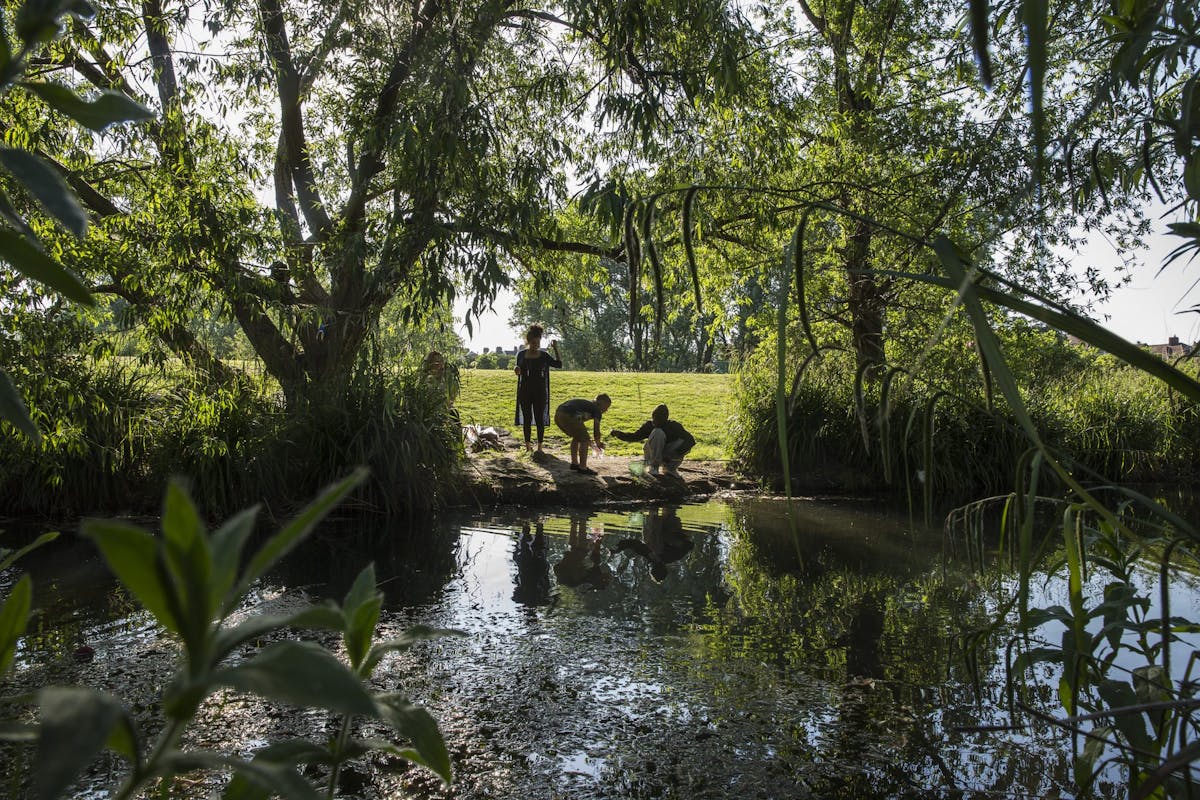 17 best country walks in London where to go for a long walk