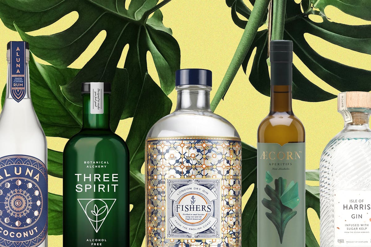 Best alcohol gifts: gin, vodka, whisky for Christmas 2019