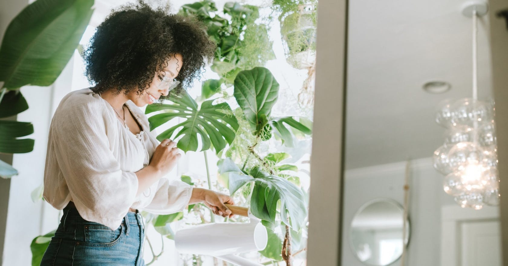 Indoor plants: 7 statement houseplants for your home and office