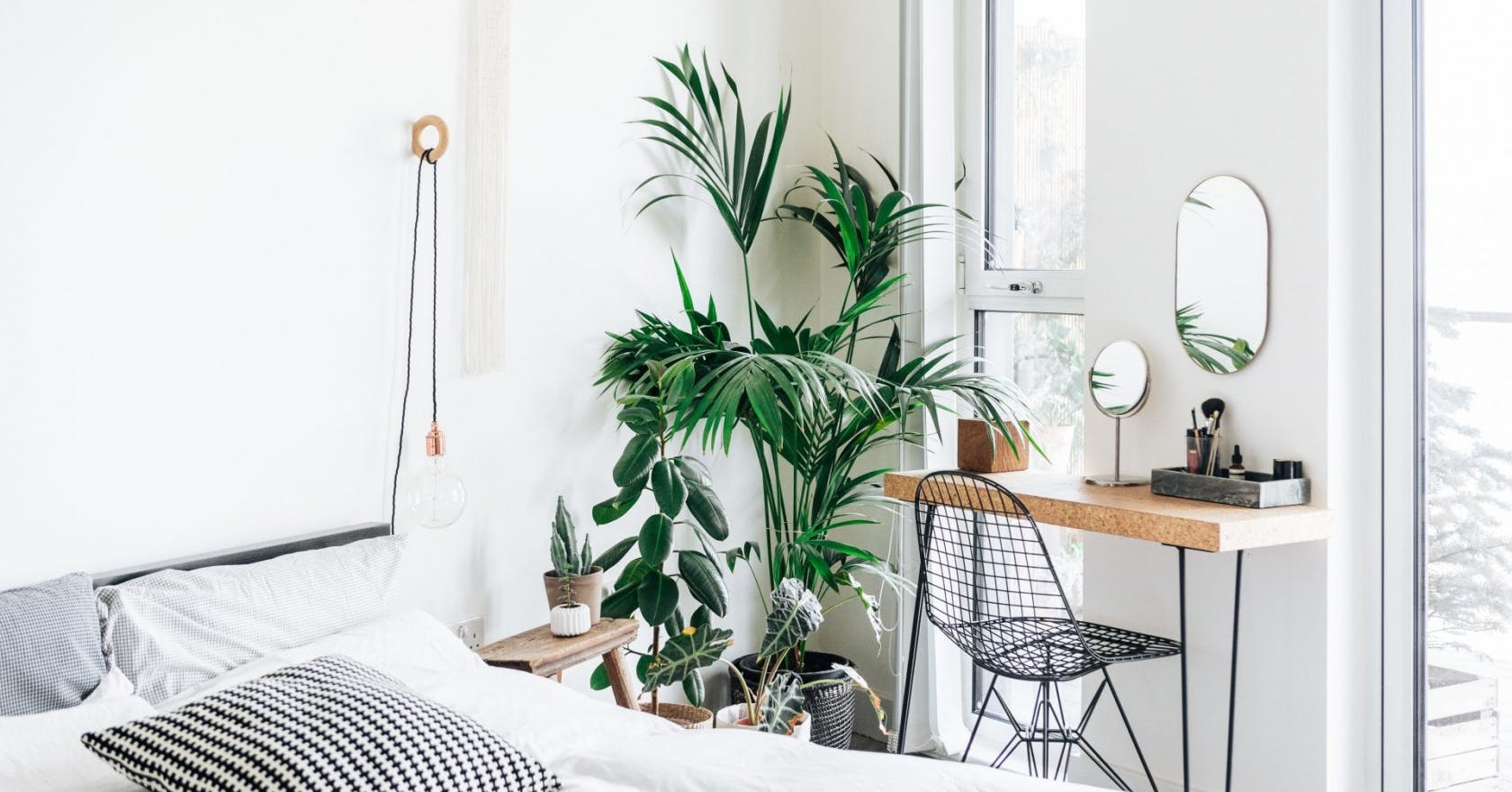 11 tall, statement plants to decorate your home and office