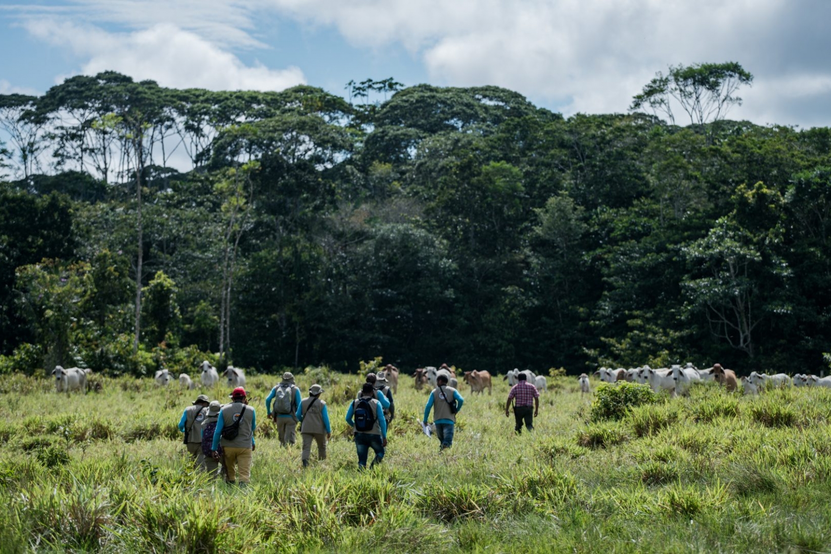 Meet the women fighting to save the Amazon rainforest