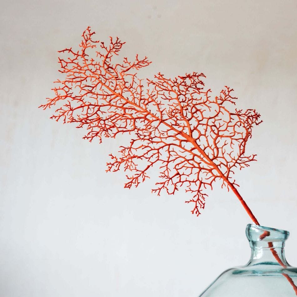 Best Coral Ornaments To Add To Your Home