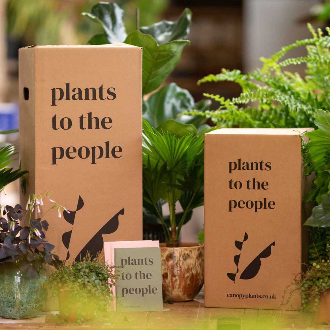 Gifts For Plant Lovers: 25 Of The Best Plant Gifts To Buy In 2021