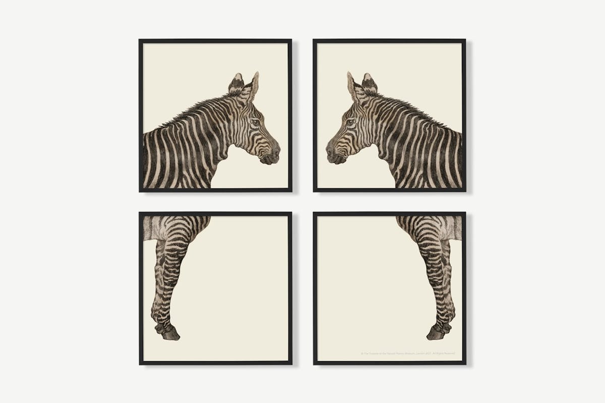 Best animal art prints