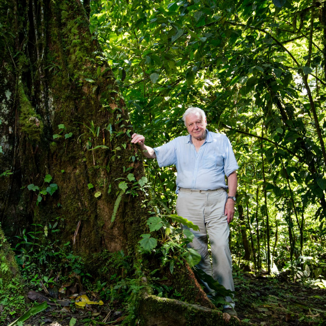 11 Stand-out David Attenborough Documentaries To Watch In 2022