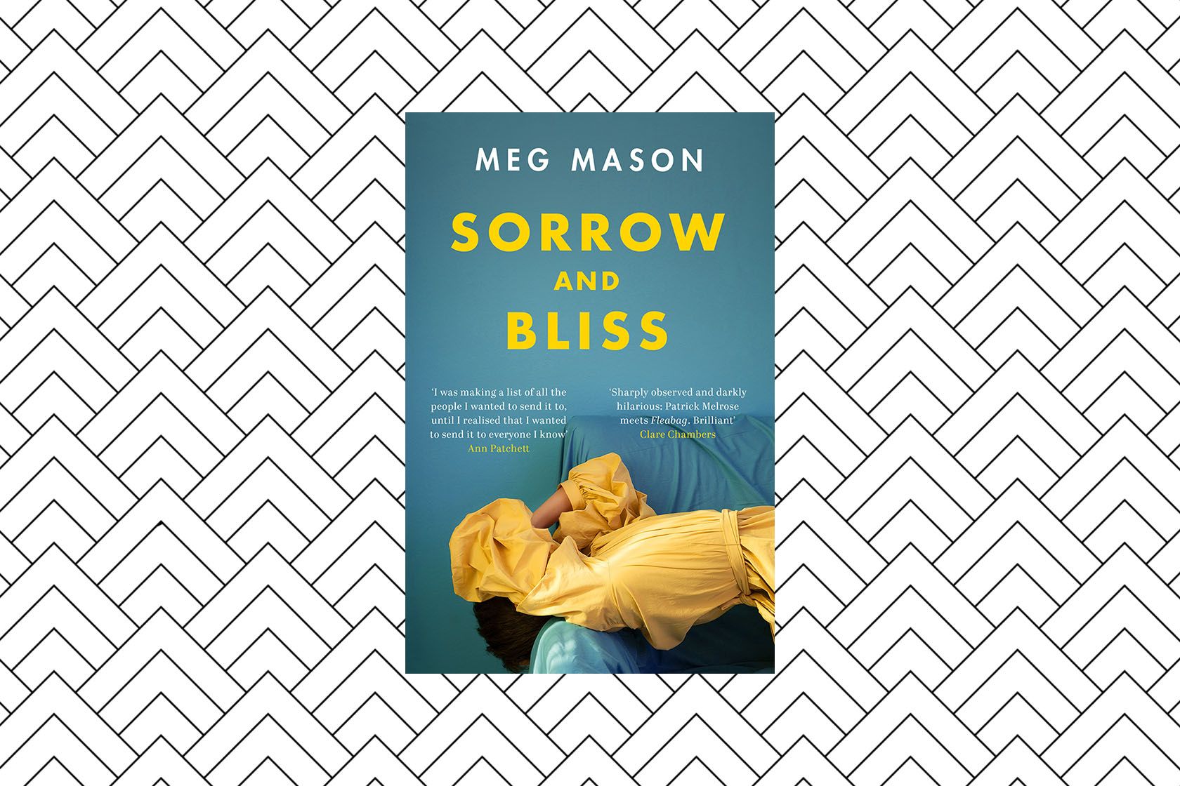 sorrow and bliss novel