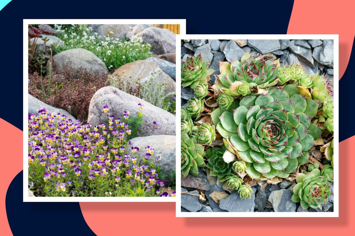 How To Build A Rock Garden On A Hill