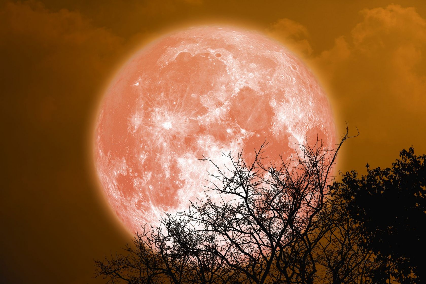 Beaver Moon: How To See November's Full Moon