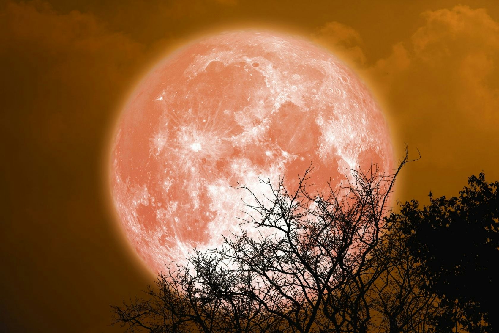 Beaver Moon: how to see November's full moon