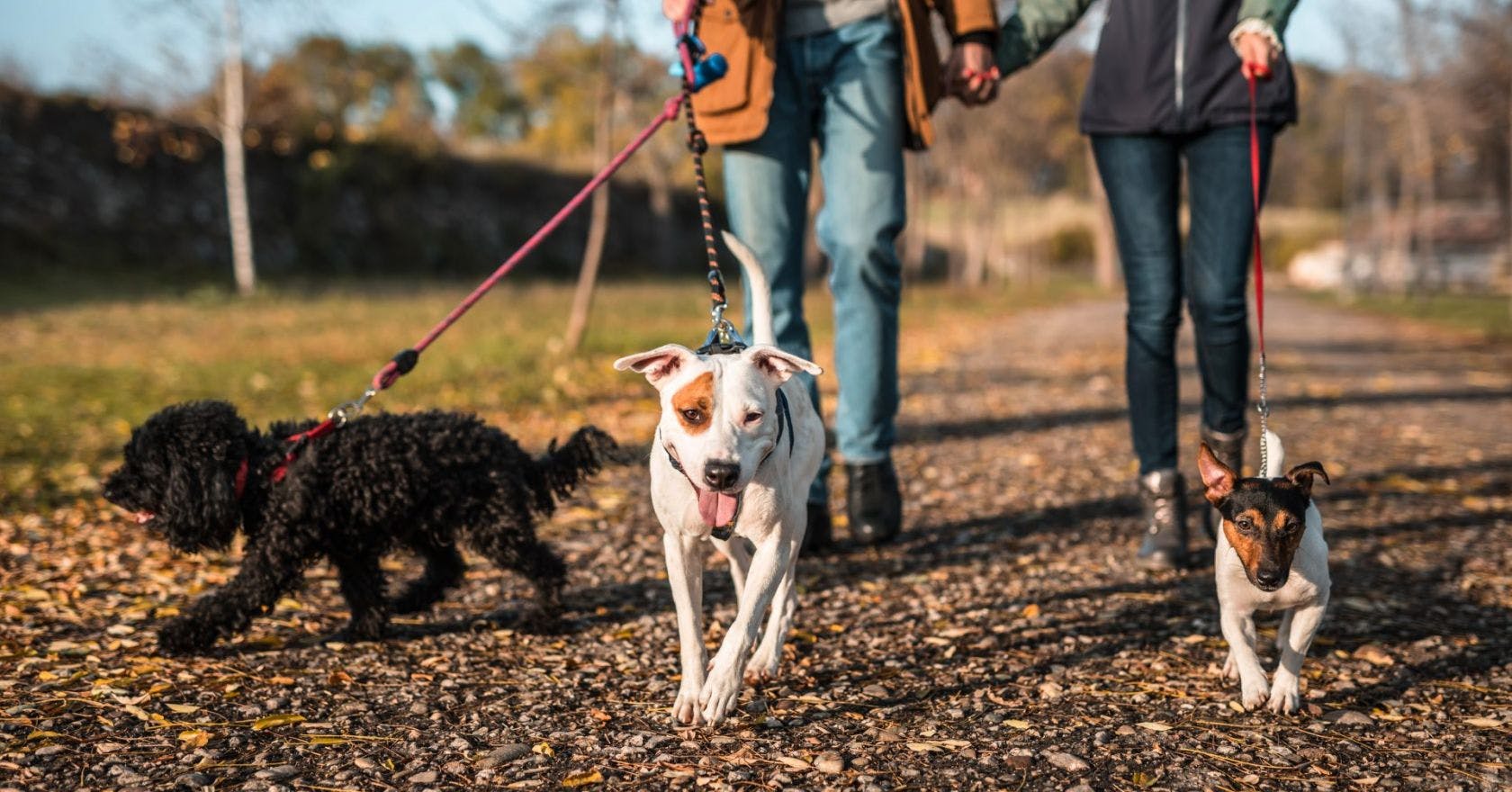 Christmas Day traditions UK: walking with family