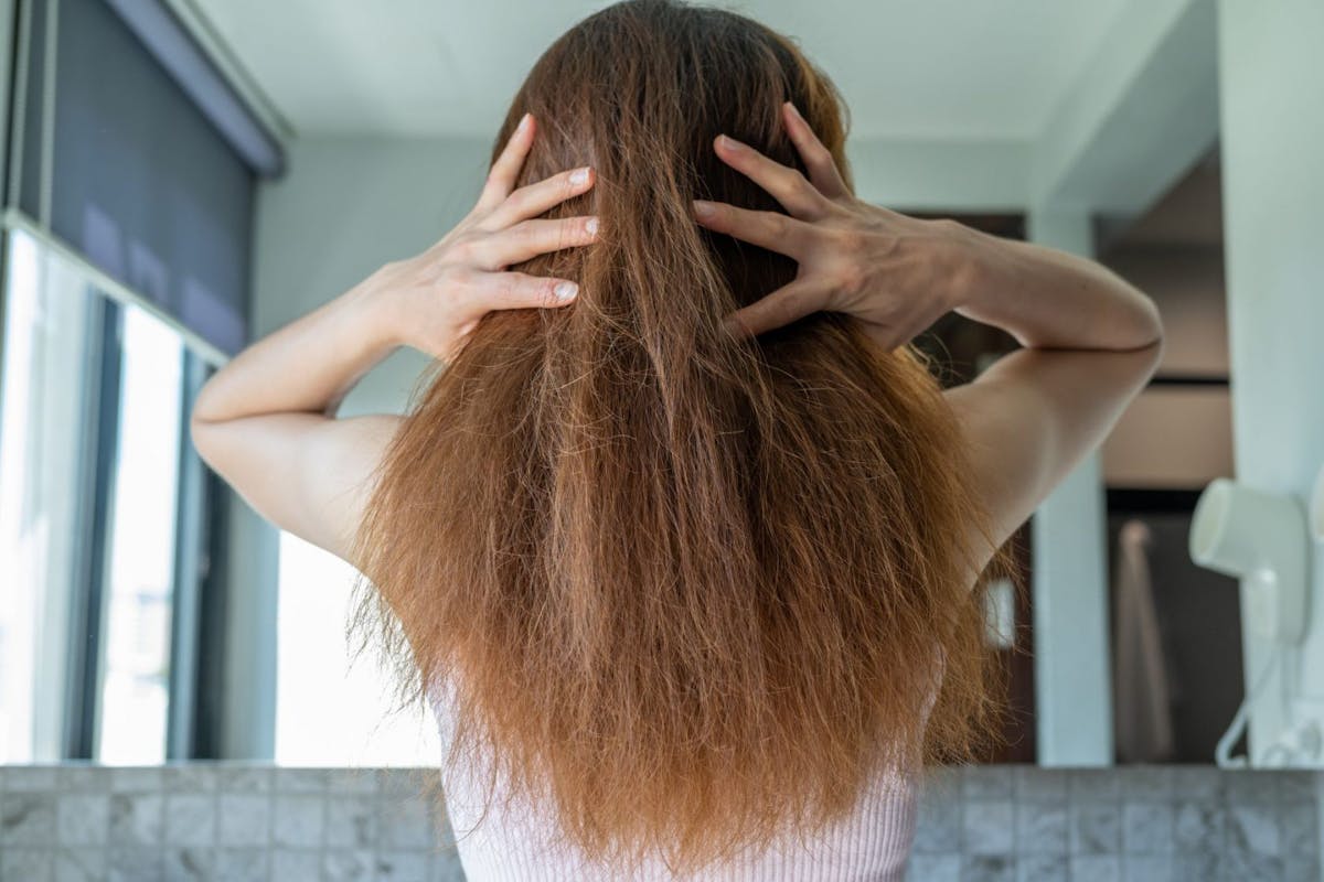 Why Is My Hair Brittle And Dry What Hair Says About Your Health