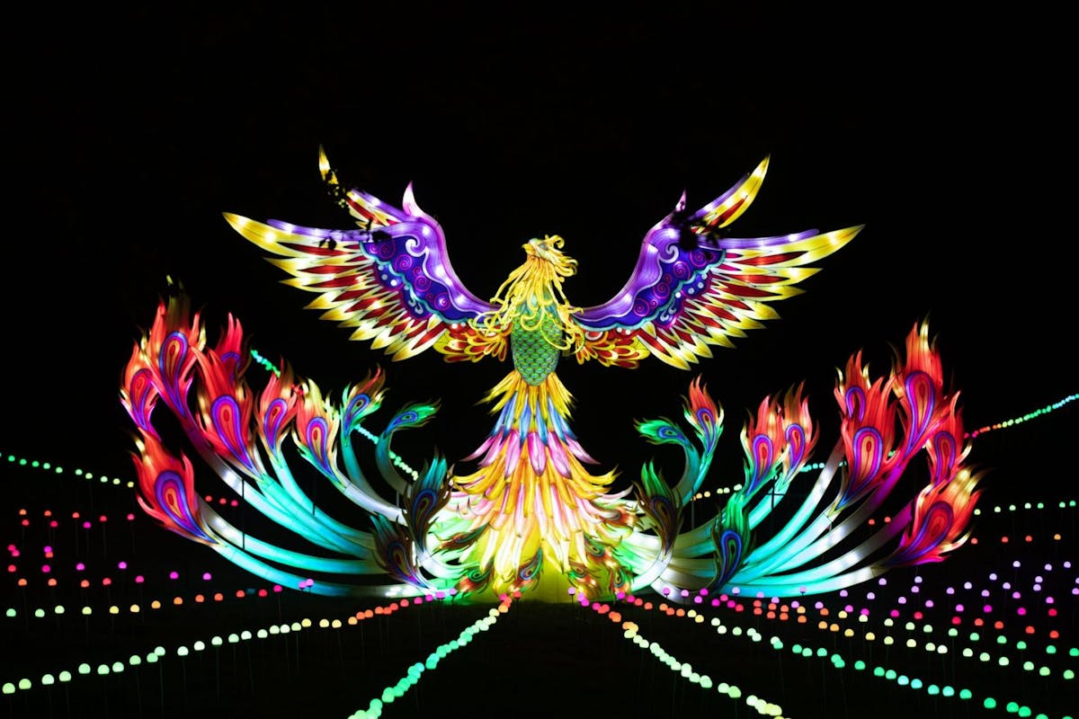 lightopia-2022-book-tickets-for-the-london-xmas-light-trail-now