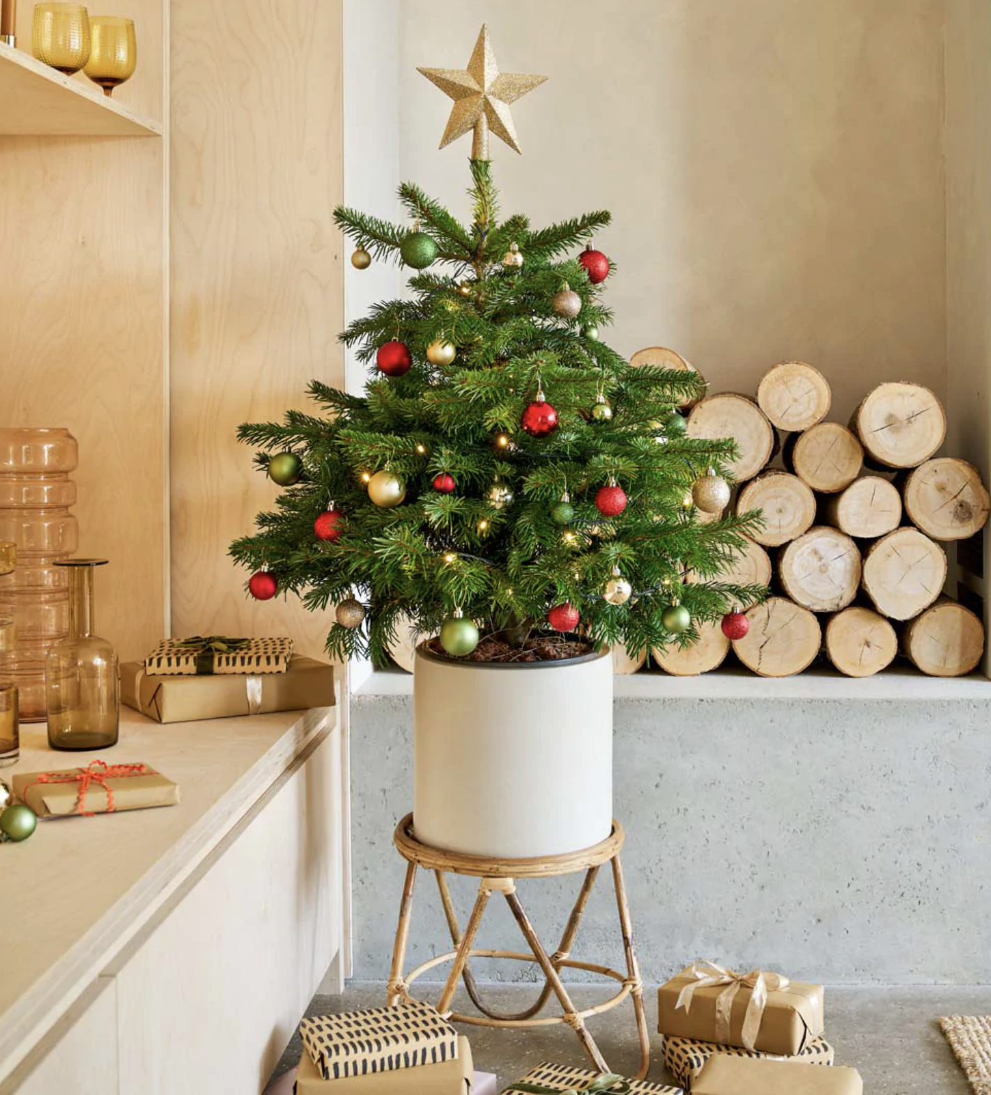 Potted Christmas trees: best trees to buy for 2022